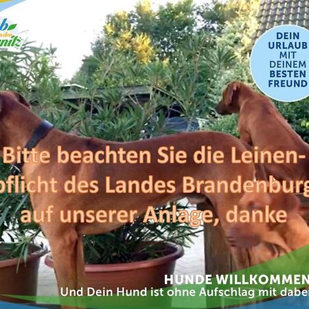 Jagd-Angler-Suite-03-Im-Wald-Am-See Kyritz Eksteriør bilde